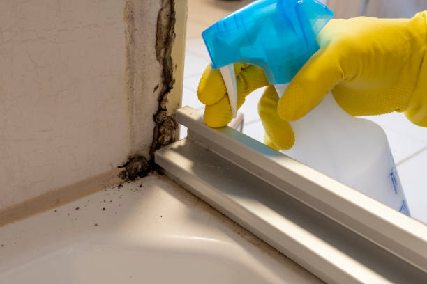 Best HVAC Mold Remediation in Cordova, NC