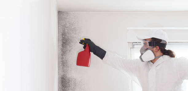 Best Bathroom Mold Remediation in Cordova, NC